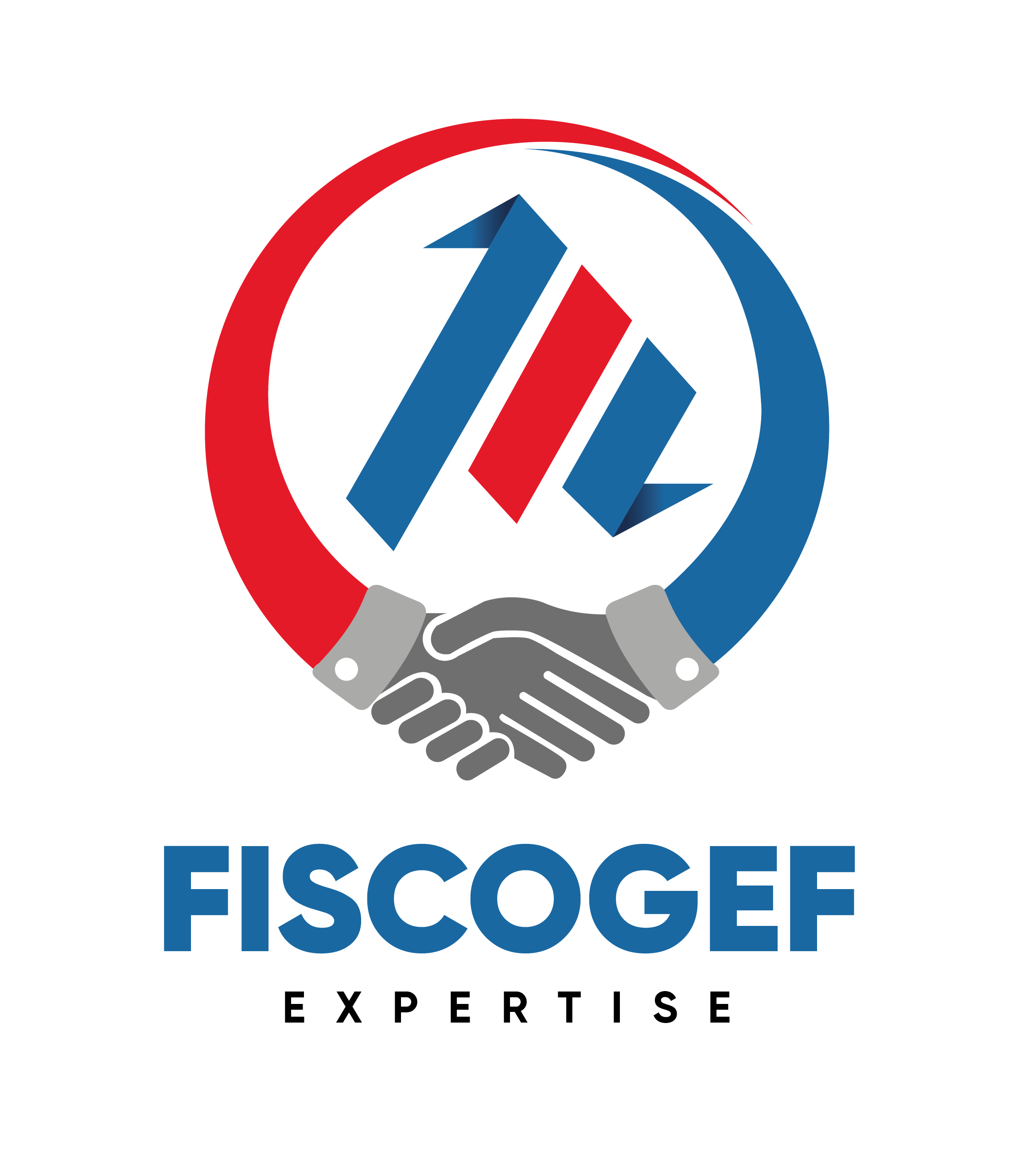 FISCOGEF ACADEMY